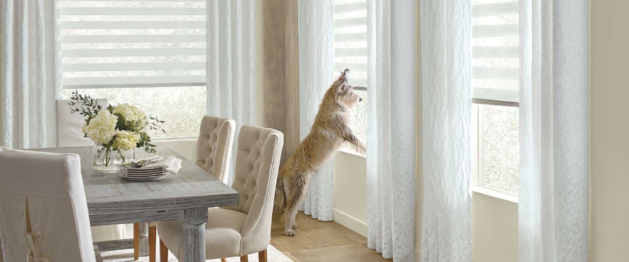 Dog in dining room looking out window with Designer Banded Shades.